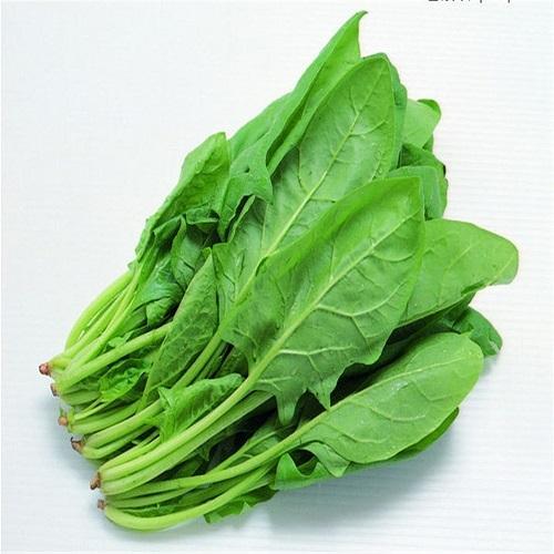 Spinach Leaves
